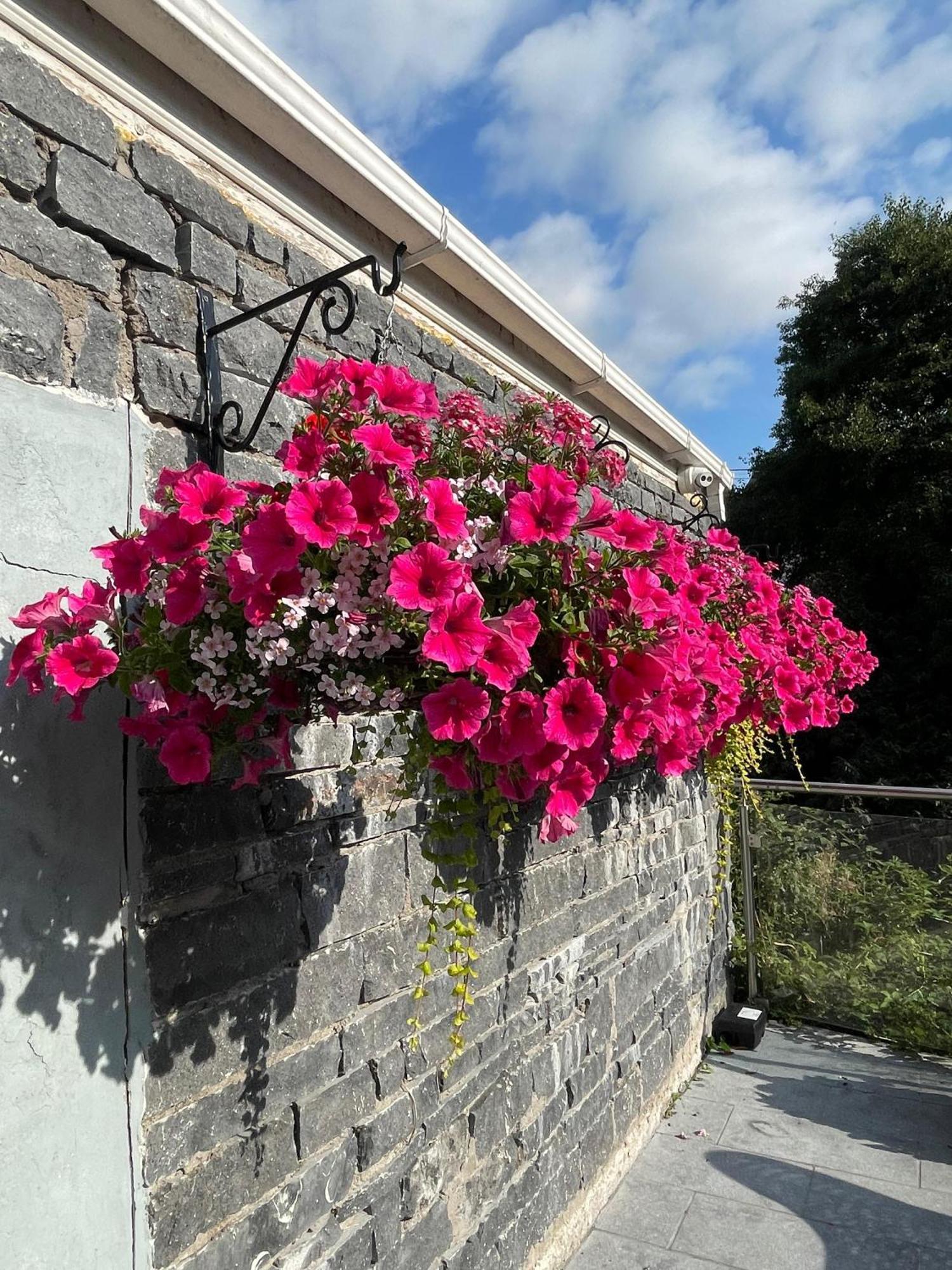 Shandon Bells Guest House Cork Extérieur photo