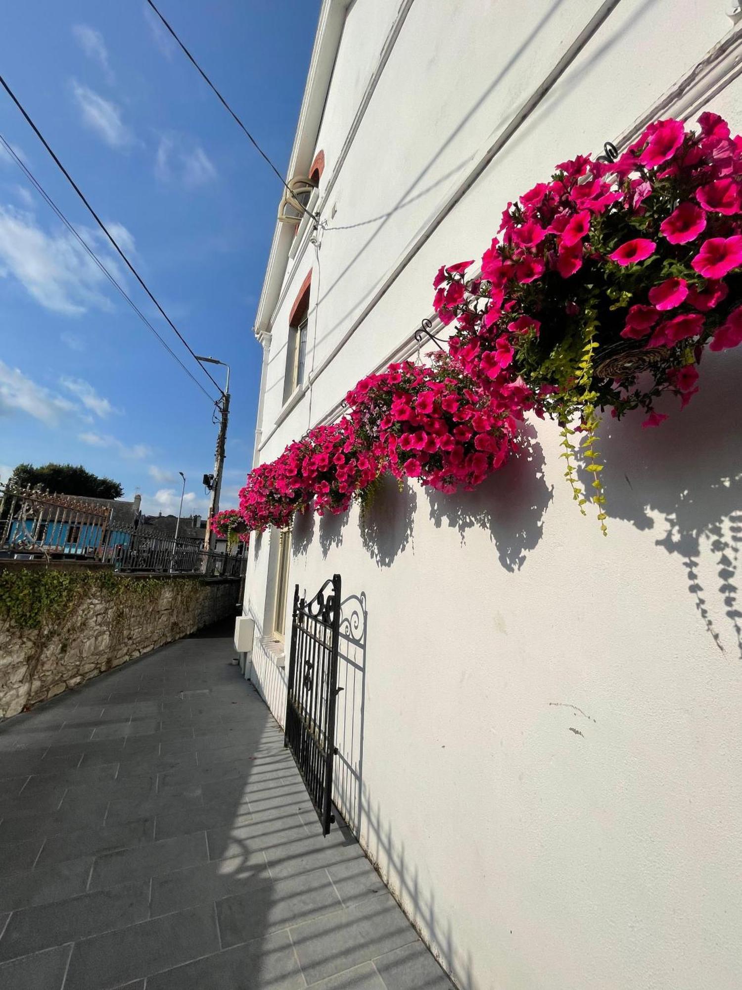 Shandon Bells Guest House Cork Extérieur photo